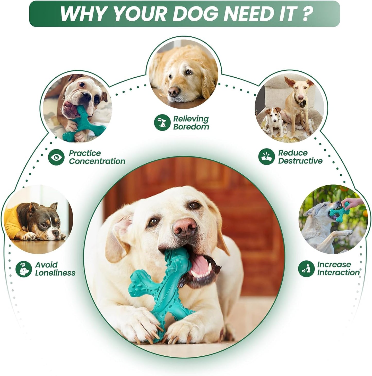 Dog Chew Toys for Aggressive Chewers Large Breed,Indestructible Bones Toy，Durable Cleaning Toothbrush Natural Rubber Dog Toys… (Blue)