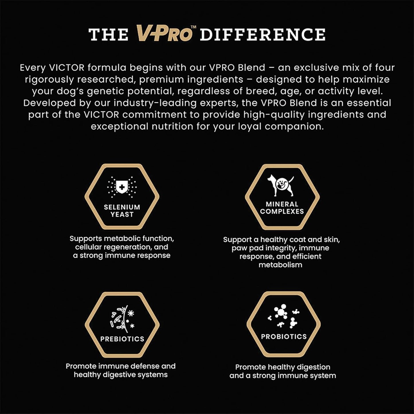 VICTOR Super Premium Dog Food – Select Beef Meal & Brown Rice Formula for Immune and Gut Health – Gluten-Free Beef Meal Dry Dog Food for All Normally Active Dogs of All Life Stages, 30 lbs