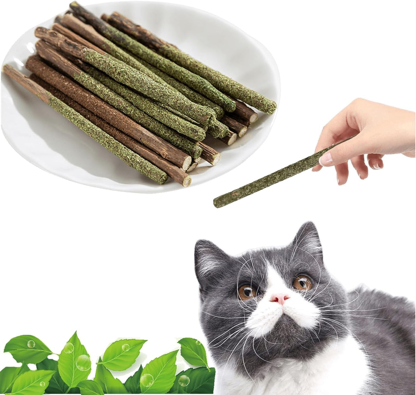 Natural Silvervine Catnip Chew Sticks (12 PC) - Edible Dental Chews for Cats & Kittens, Teething Relief Teeth Cleaning Toys