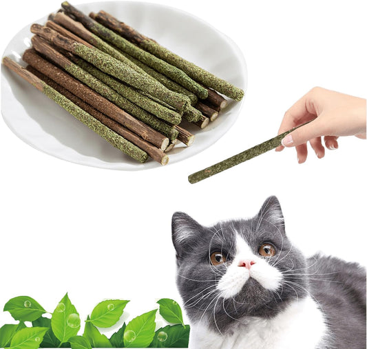 Natural Silvervine Catnip Chew Sticks (12 PC) - Edible Dental Chews for Cats & Kittens, Teething Relief Teeth Cleaning Toys