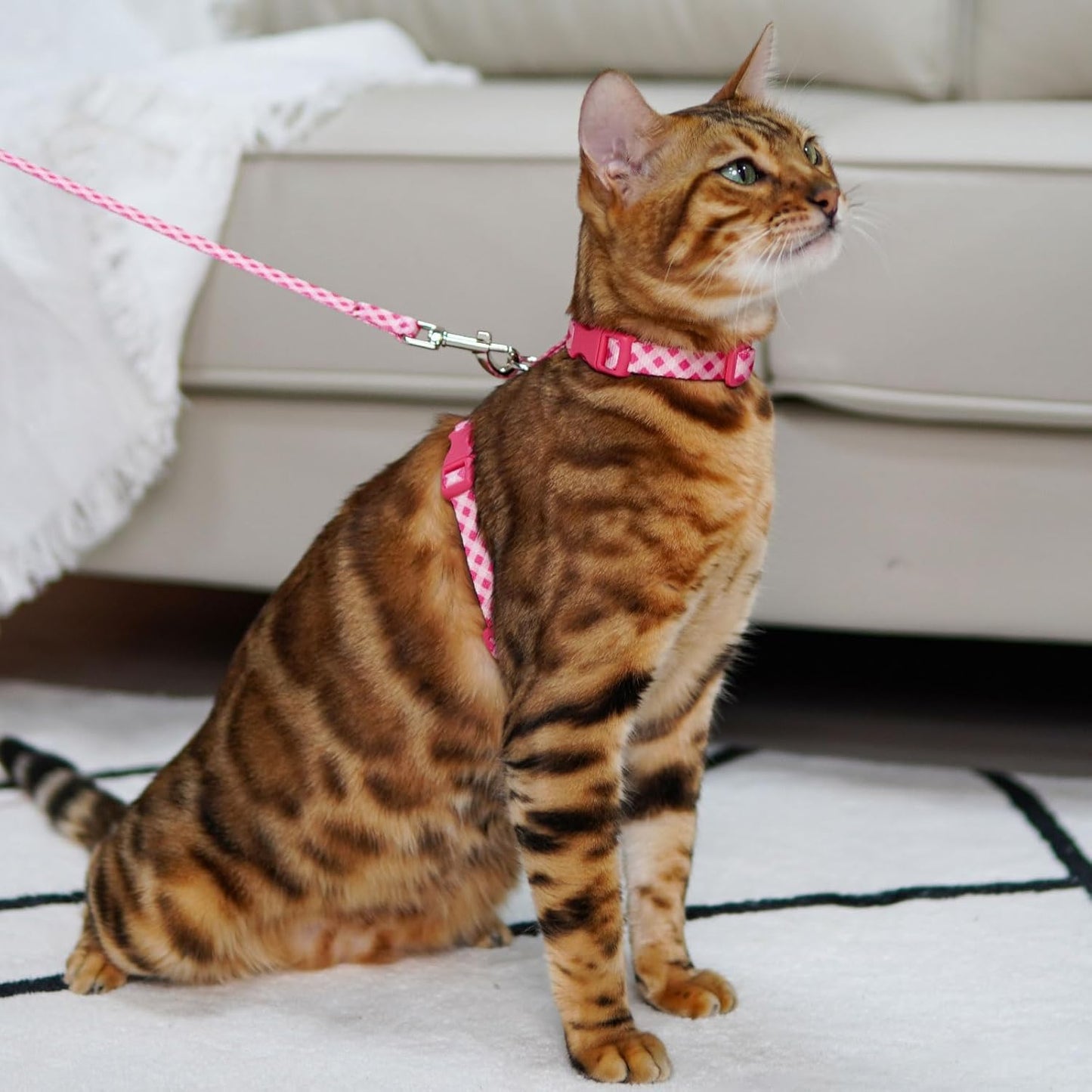 azuza Cat Harness and Leash Set for Safe Walking and Travel, Escape Proof Cat Harness, Lightweight Soft and Comfortable, Adjustable Kitten Harness for Small Medium Large Cats, Pink Plaid