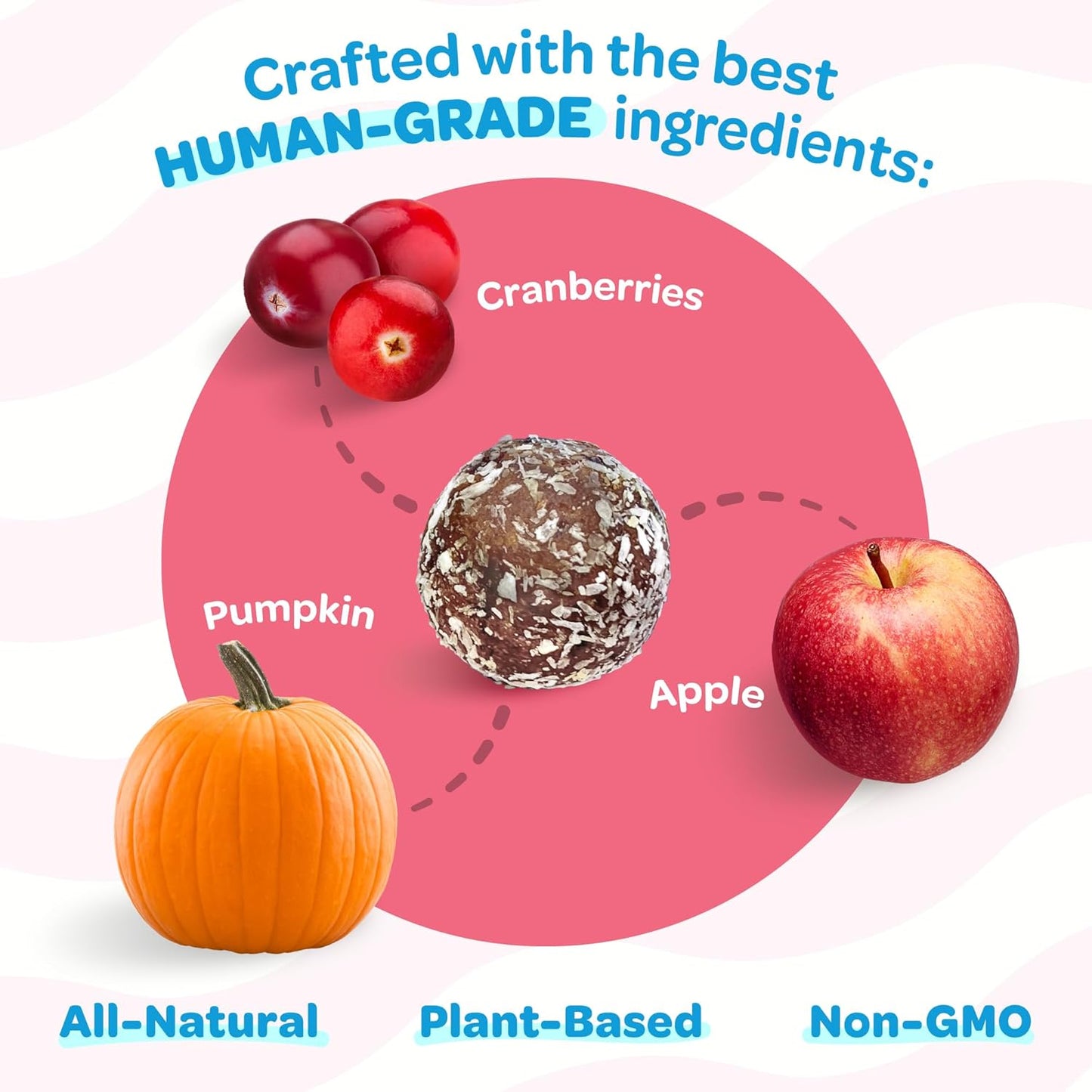 Cranberry, Pumpkin, & Apple Healthy Dog Treats - Vegan, Non-GMO, Human Grade - All Breeds, Sizes, & Ages - All Natural, Lean, Gluten-Free, Soft & Chewy - 6pk (108 Dog Treats Bulk)