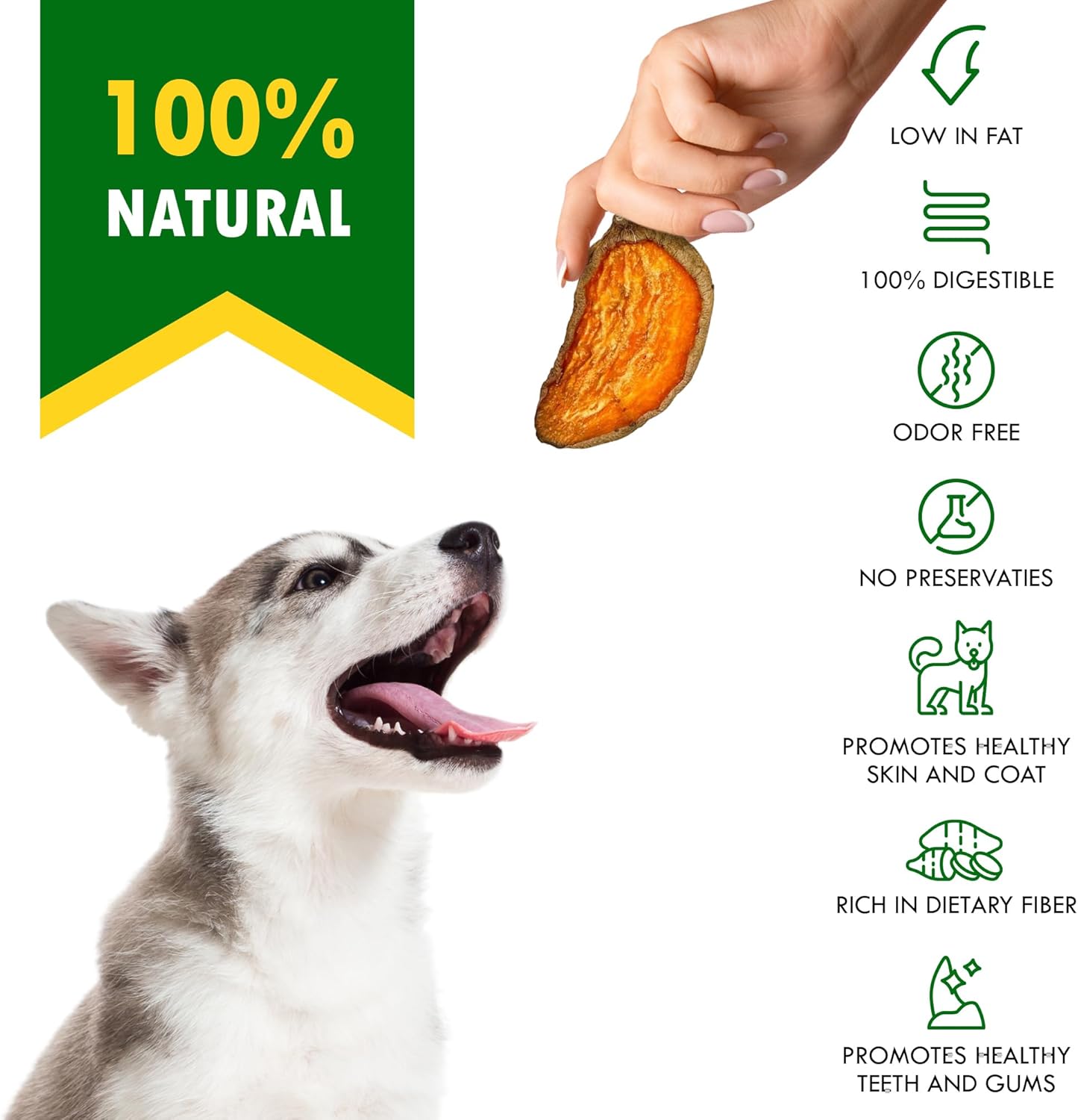 Dog Treats Sweet Potato Chips 10.6 oz - All Natural Pet Snack Chews - Grain Free & Human Grade Dried Snacks in Bulk - Best Jerky for Training Small & Large Dogs
