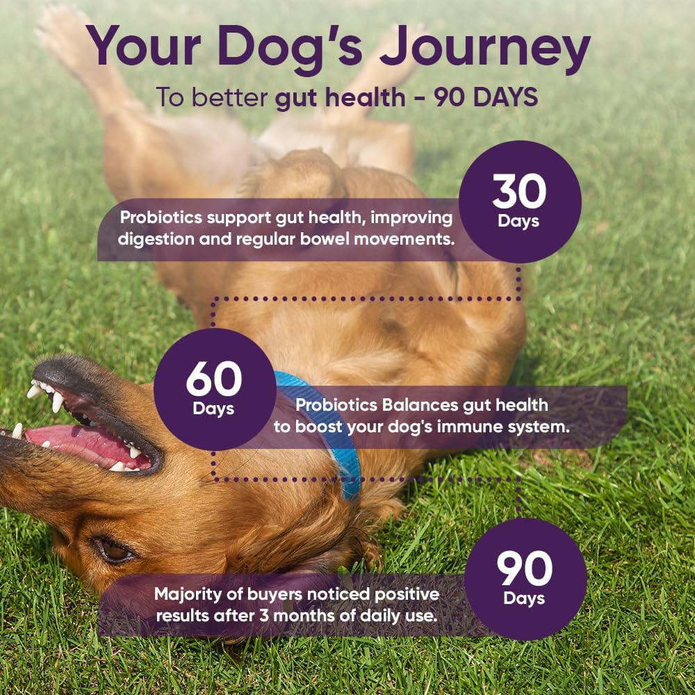 iHeartDogs 3-in-1 Probiotic for Dogs with Pumpkin for Improved Digestion & Gut Health - Dog Probiotics and Digestive Enzymes, 90 Count