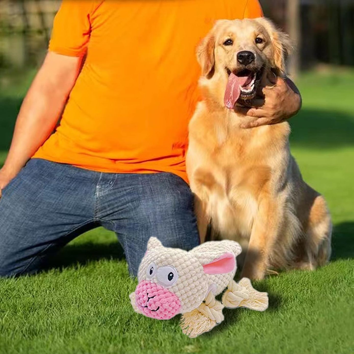 AIMETING Dog Toys, Durable Dog Chew Toys, Dog Squeak Toy with Fun Crinkle Paper, Plush Toys Suitable for Small, Medium, Large Dogs (Sheep)