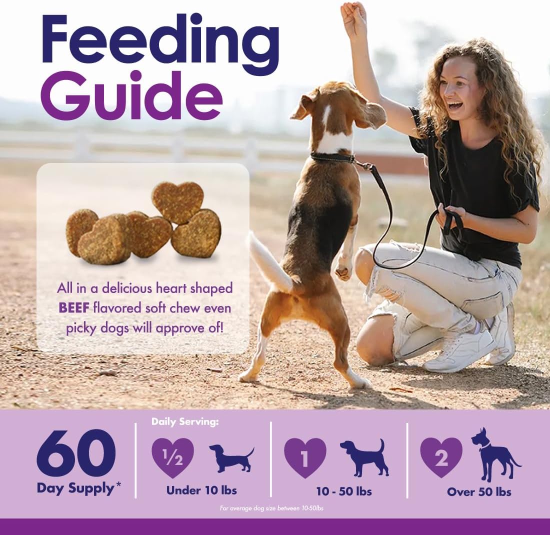 Dog Multivitamins Chewable Supplement - 22 in 1 Dog Vitamins for Itchy Skin & Coat, Immune System, Joints & Overall Health - Vitamins A, B, C, D, E, K & Antioxidants - 60 Chews - Beef Flavor