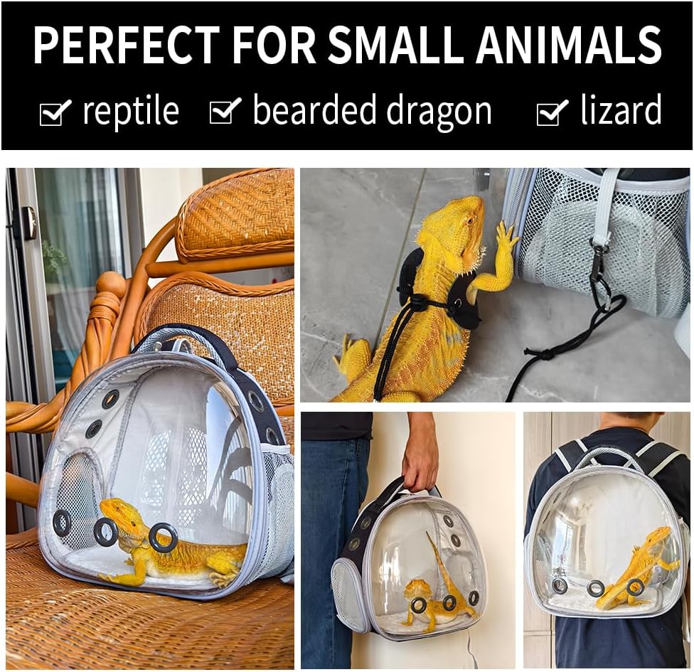 Bearded Dragon Lizard Backpack Carrier with Harness and Leash Set, Small Animal Carrier Backpack, Space Capsule Bubble Window, Small Pet Carrier Backpack, Airline Approved(Green)