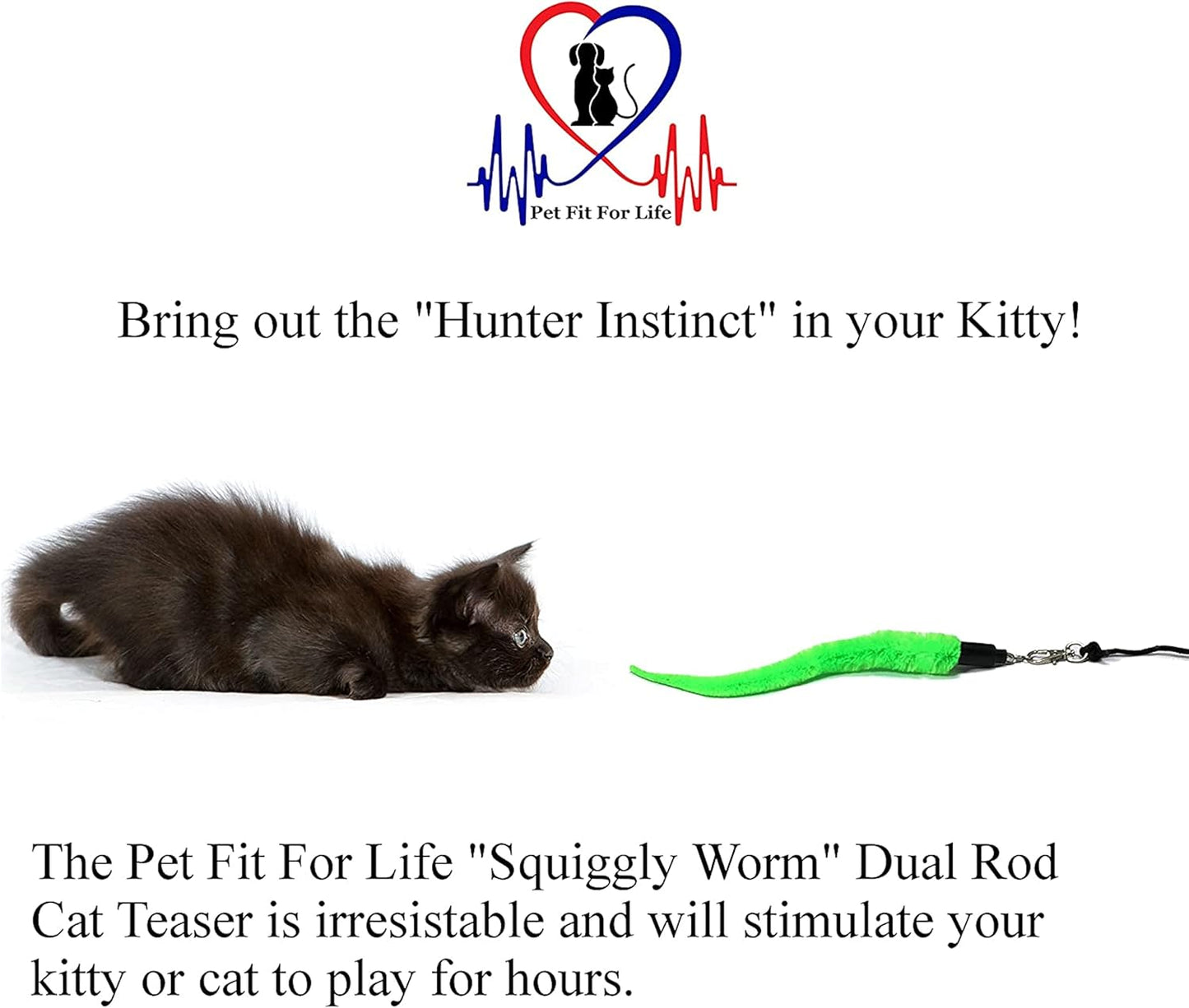 Pet Fit For Life Cat Wand Toy: 5-Piece Worm Teaser & Exerciser - Durable Flirt Pole/Cat Teaser Toy – Interactive Fun for Feline Fitness