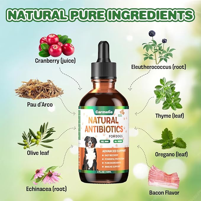 Natural Antibiotics for Dogs - Dog Antibiotics Nutritional Supplements for Skin Issue, Itch Relief, Dog and Cat Herbal Supplement Drops for Pets, Supports Skin Health - 60 ml/2 Fl Oz