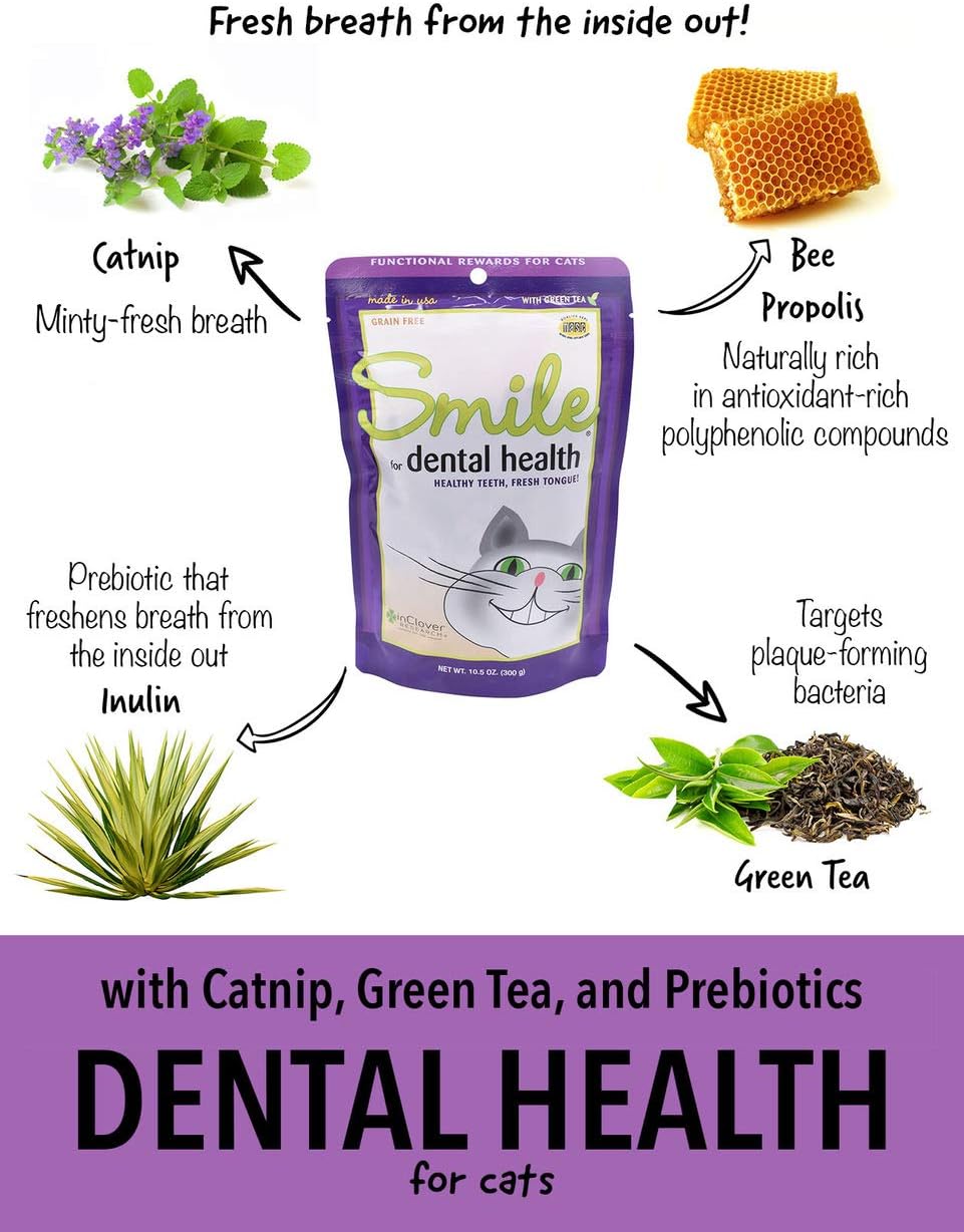 In Clover Smile Daily Dental Health Soft Chews for Cats, Support Healthy Teeth and Fresh Tongue with Catnip and Green Tea, Prebiotics, and Chlorophyll for Fresh Breath, 10.5 oz