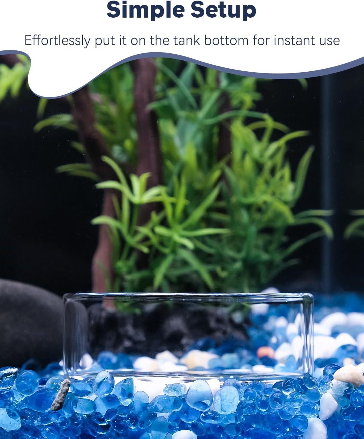 Pawfly Transparent Shrimp Feeding Dish, Clear Glass Aquarium Shrimp Feeder Dish, Food Tray for Fish Tanks and Terrariums (Without Suction Cup)