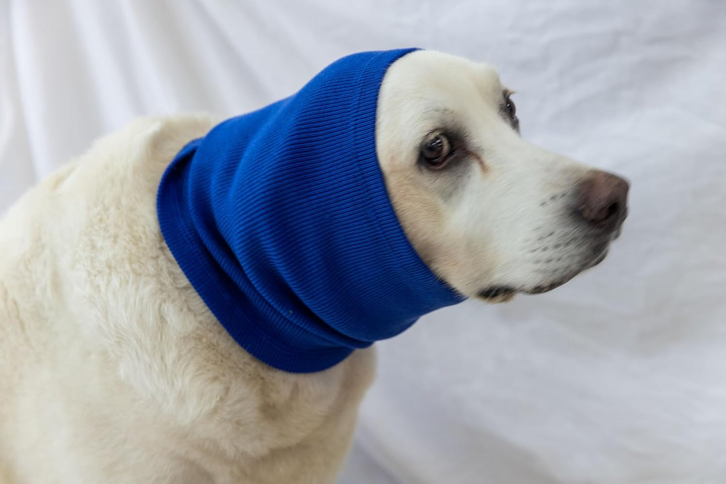 Dog Ear Muffs for Noise Cancelling, Keep Claming Ear Covers Outdoor Activities Neck Snood for Dog (Blue L)