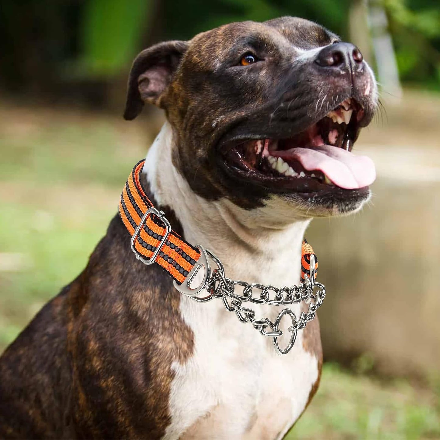 Martingale Collar for Dogs with Soft Padded,Trainer Approved Limited Slip Collar with Steel Chain,Reflective Adjustable Choke Dog Collar for Training, Walking, Hunting (Orange XL)