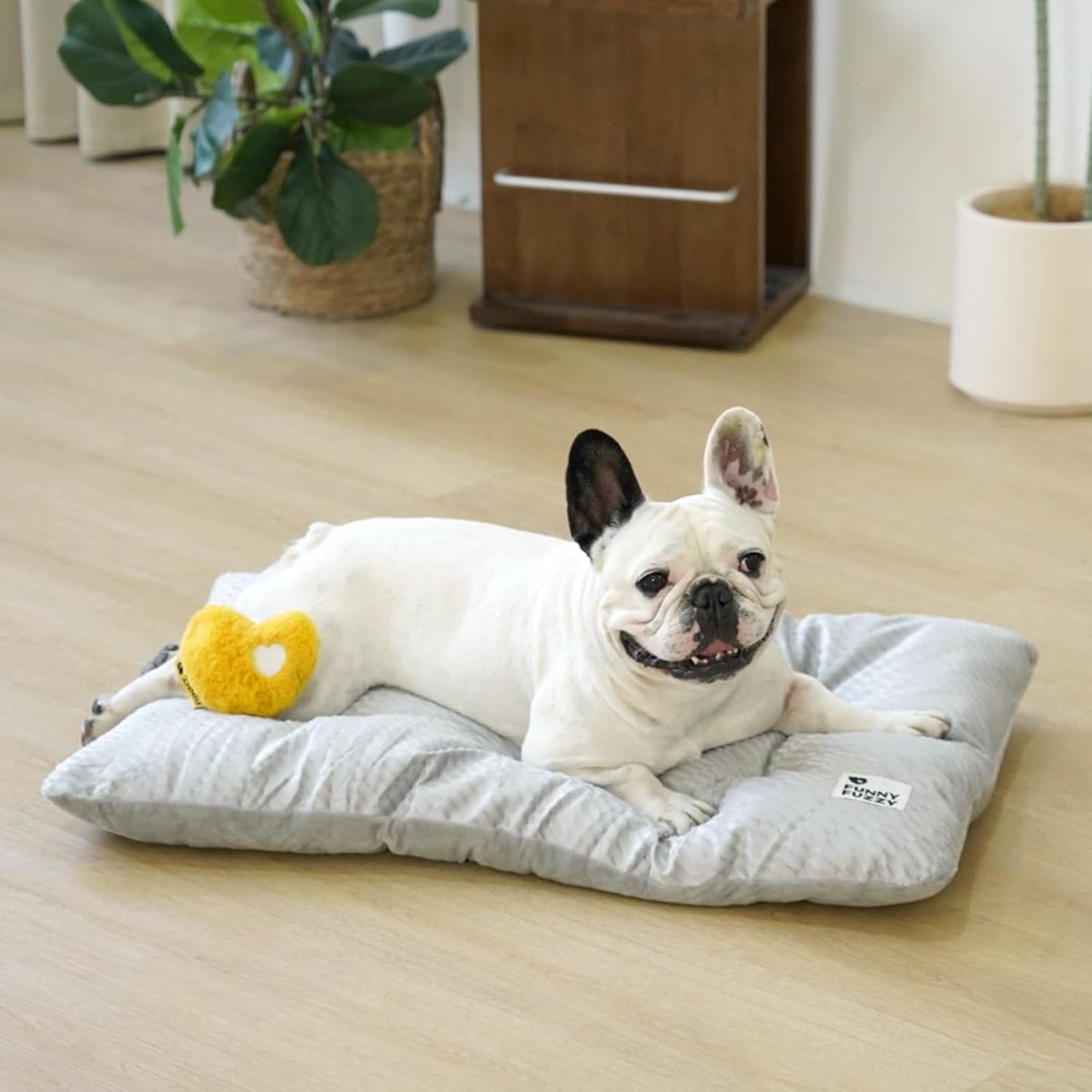 FUNNY FUZZY 2 in 1 Dog Bed Crate Pad Mat, Washable Reversible Floor Sleeping Mats,Fluffy Kennel Pad for Medium Sized Dog,Indoor Cats,Sleeping Mattress, 29.9" × 18.9", Light Grey