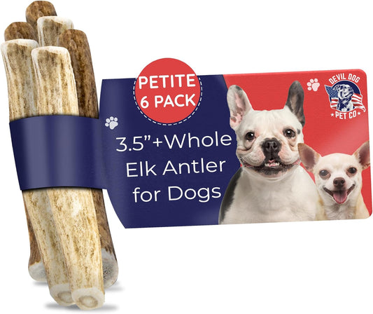 Devil Dog Pet Co. Elk Antlers for Dogs, Petite 3.5"+, 6 Pack, Grade A Long Lasting Chew for Aggressive Chewers, Premium USA Naturally Shed Antler – Healthy, No Odor, Durable Dog Chew