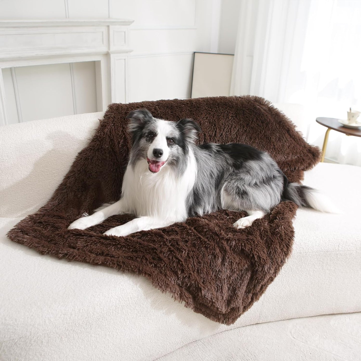 gogobunny Waterproof Dog Blanket for Large Dogs, Cats, Puppy, Reversible Faux Fur Pet Throw Blanket, Washable, Calming Furniture Protection for Sofa Bed (60x80 Inch (Pack of 1), Chocolate)