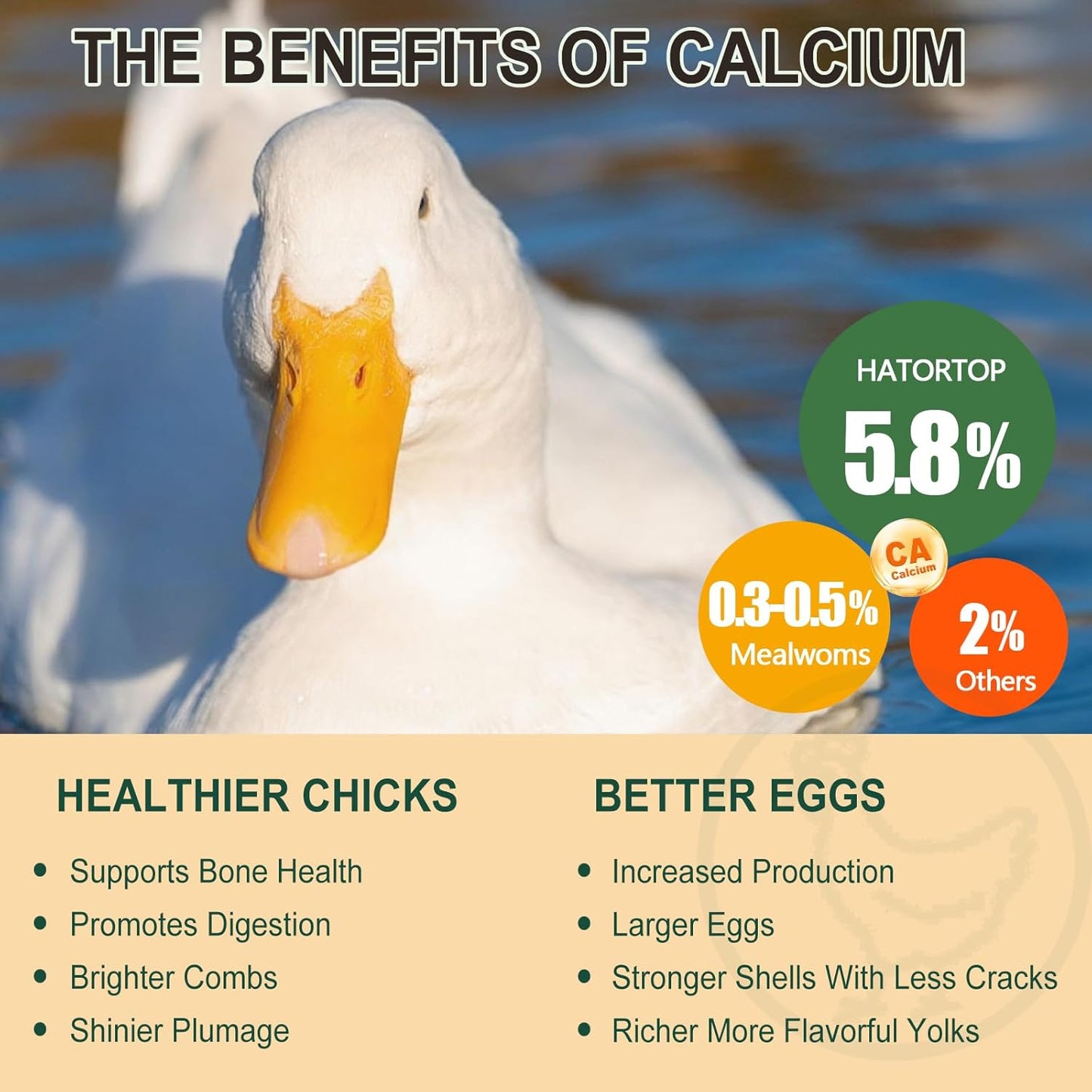 8LB Dried Black Soldier Fly Larvae for Chickens, Non GMO Chicken Feed More Calcium Than Mealworms - Chicken Worms Treats, Duck Food (4 Pack*2LB)