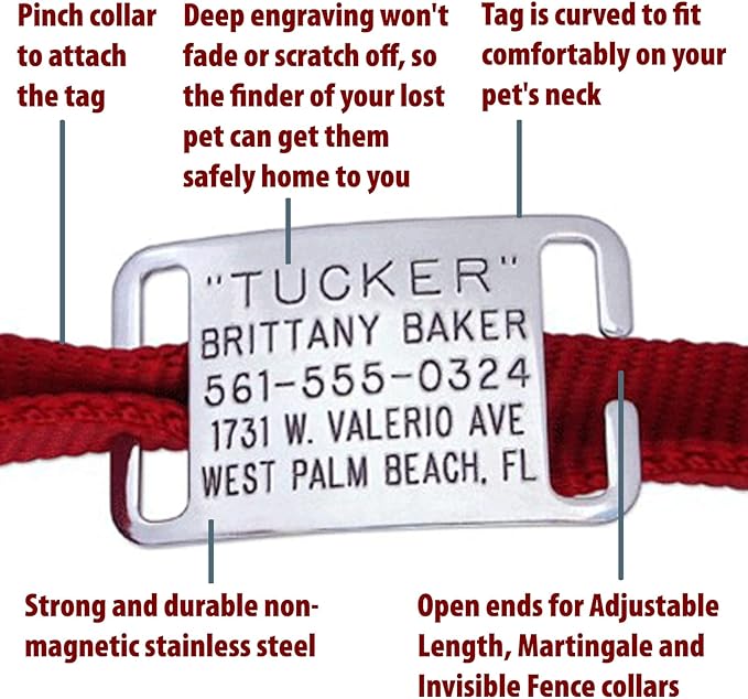 Boomerang Tags Dog Tags Personalized for Pets - Will Last Your Pets Lifetime - Dog Name Tag, Custom Dog Tags, Pet Tag, Quiet Engraved Stainless Steel (Open End Medium for 3/4 Inch Snap Style Collars)
