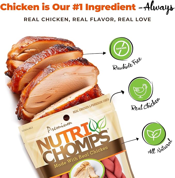 NutriChomps Dog Chews, 6-inch Braids, Easy to Digest, Rawhide-Free Dog Treats, Healthy, 4 Count, Real Chicken flavor