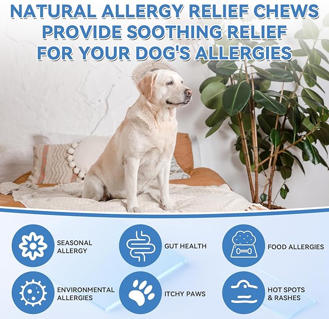 200 PCS Dog Allergy Chews, Dog Allergy Relief Chews with Probiotic Anti-Itch for Dogs - Omega 3 Fish Oil - Itching Skin Relief, Immune & Skin & Coat Support, Hot Spots, Paw Licking and Sensitivities