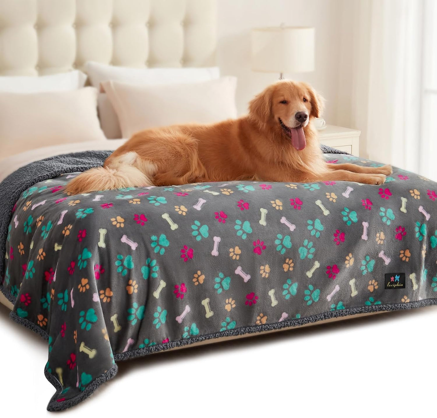 Luciphia Waterproof Pet Blankets for Couch Sofa Bed Cover Cat Liquid Pee Proof Washable Soft Fluffy Large Dog Blanket Reversible Furniture Protection Puppy Thicken X-Large（85" x 57"）