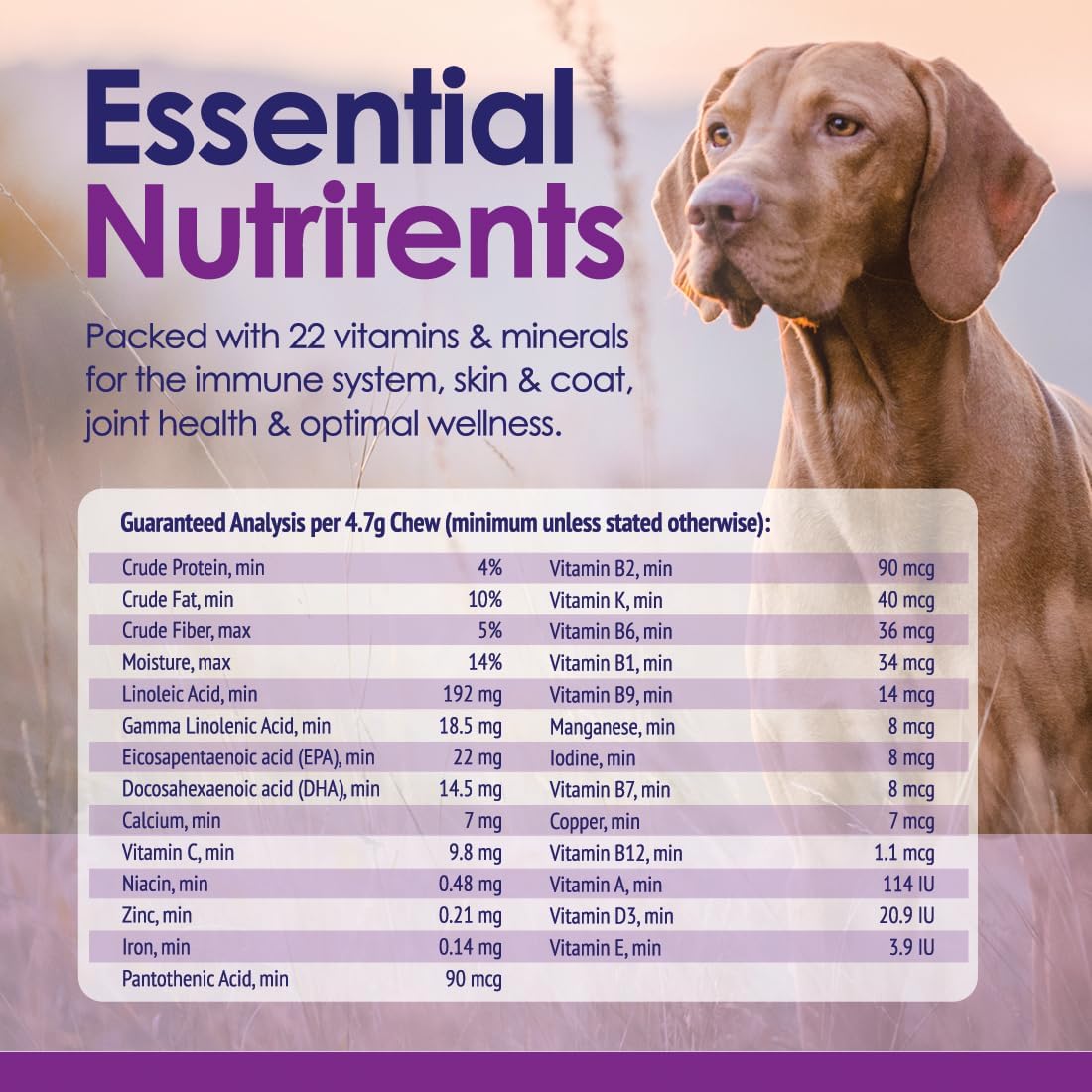 Dog Multivitamins Chewable Supplement - 22 in 1 Dog Vitamins for Itchy Skin & Coat, Immune System, Joints & Overall Health - Vitamins A, B, C, D, E, K & Antioxidants - 60 Chews - Beef Flavor