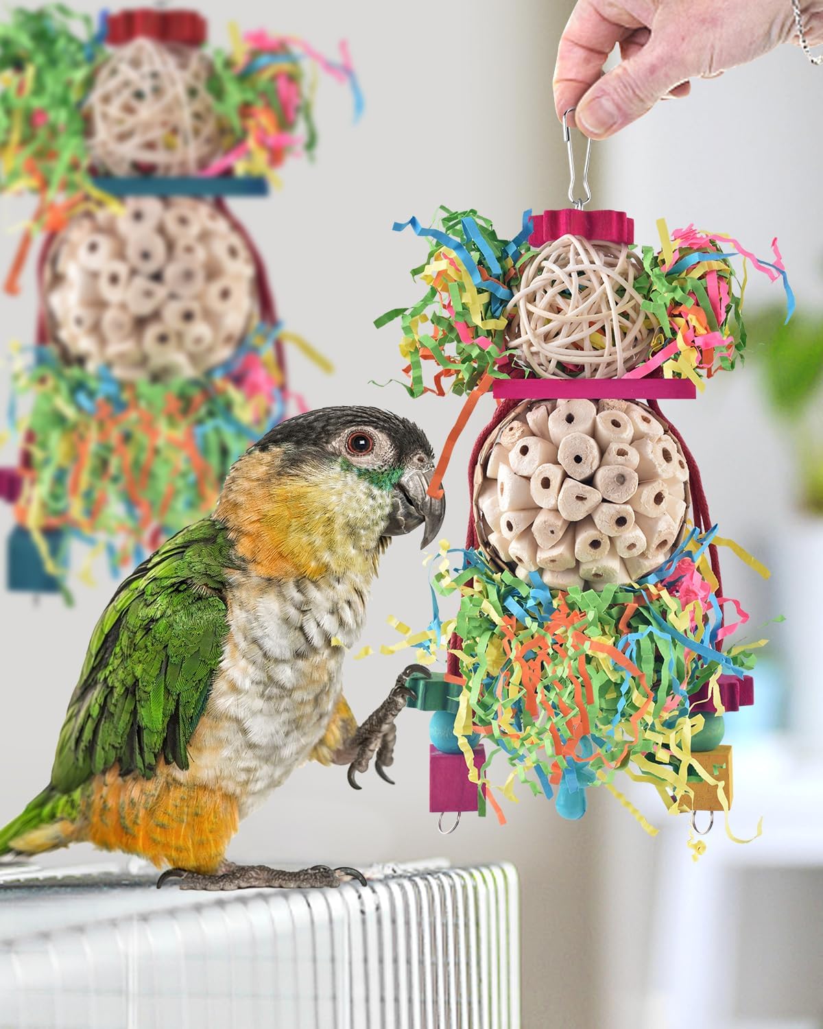 Bissap 2PCS Bird Parrot Foraging Shredder Hanging Toys Sola Balls Sepak Takraw with Pacifier for Small Parrots Parakeets Conures Cockatiels Love Birds Cage Toy