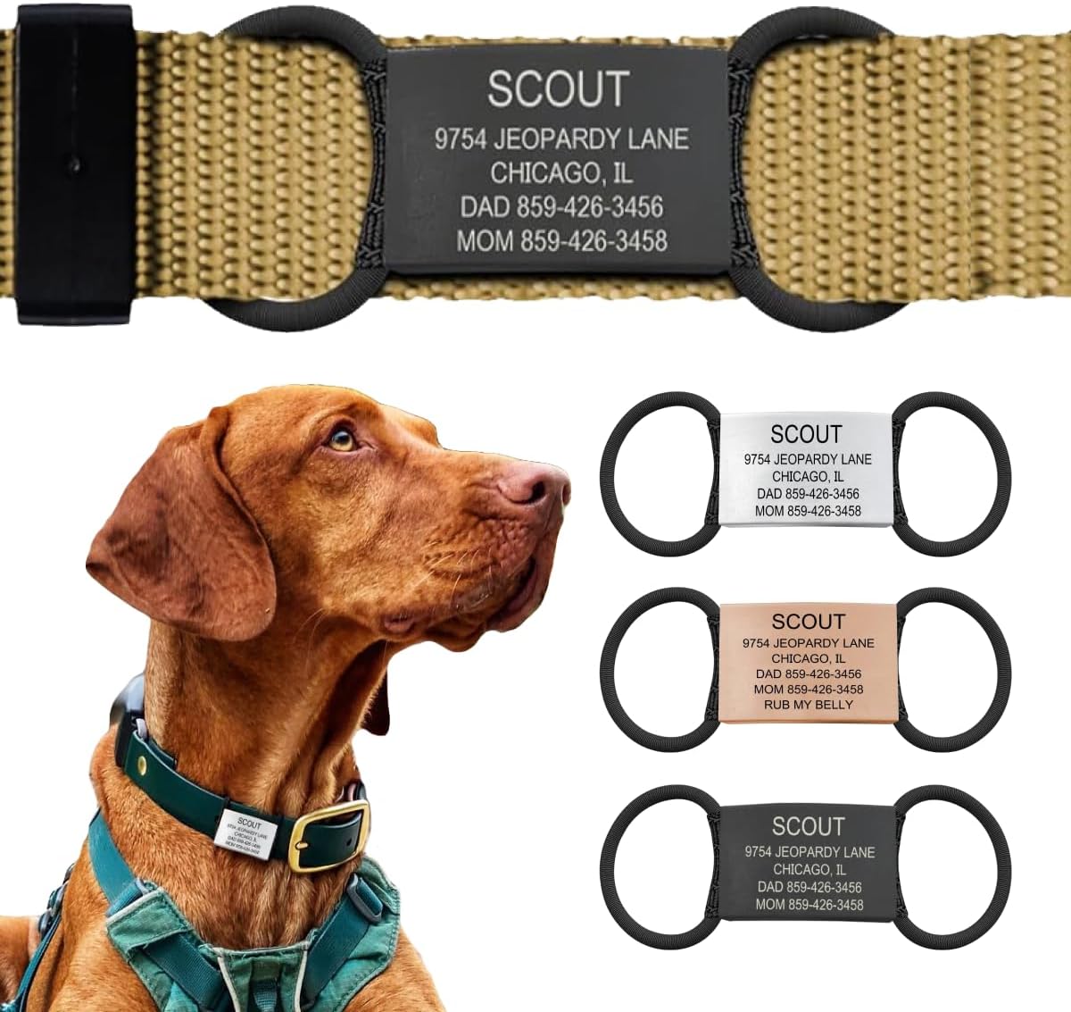 Personalized Dog Tags by ROAD iD | Silent & Durable | Jingle-Free Slide-On Design | Stainless Steel Name Tag Fits Any Collar | Multiple Colors & Sizes for Your Pet's Unique Style