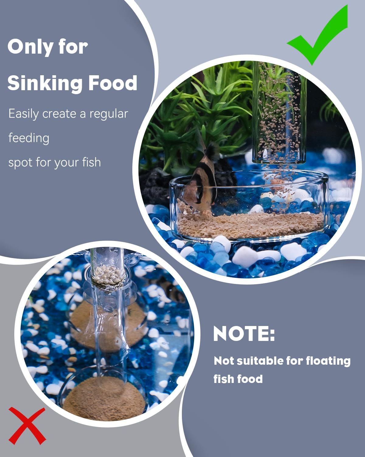 Pawfly Transparent Shrimp Feeding Dish, Clear Glass Aquarium Shrimp Feeder Dish, Food Tray for Fish Tanks and Terrariums (Without Suction Cup)