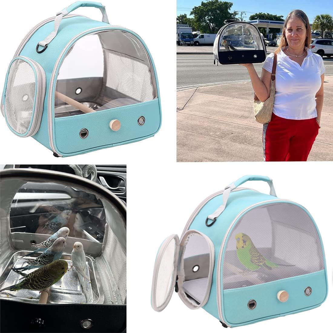 Bird Travel Cage, Portable Small Bird Parrot Parakeet Carrier with Standing Perch, Side Access Window Collapsible(Green, Mesh Windows)