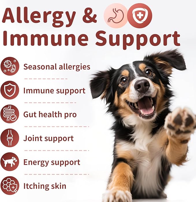 Dog Allergy Chews, Probiotics for Dog Allergy Relief - Itchy Skin and Itchy Ears - Allergy Paw Relief - Seasonal Allergies & Immune Gut Health & Joint, Energy Support, Chicken Flavor - 90 Count
