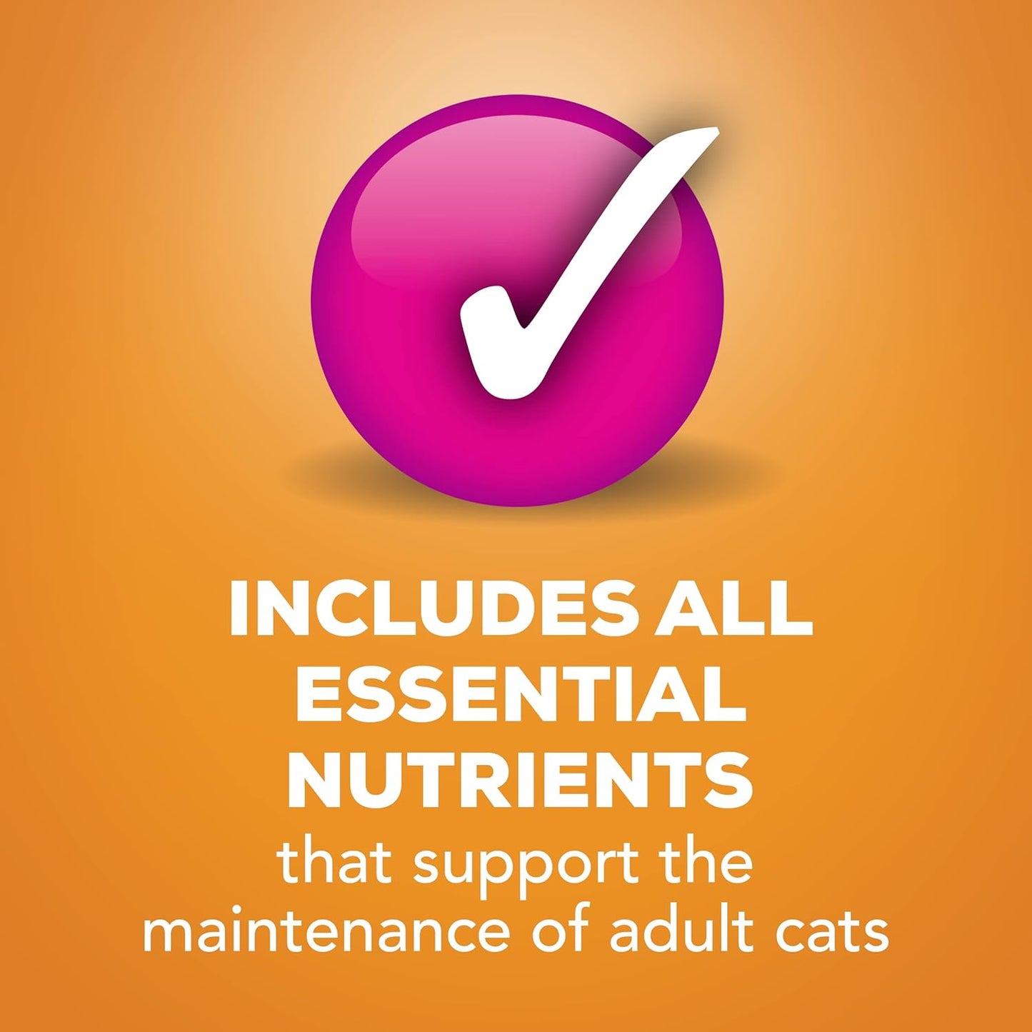 Purina Friskies Pate Wet Cat Food Liver & Chicken (Pack of 12)