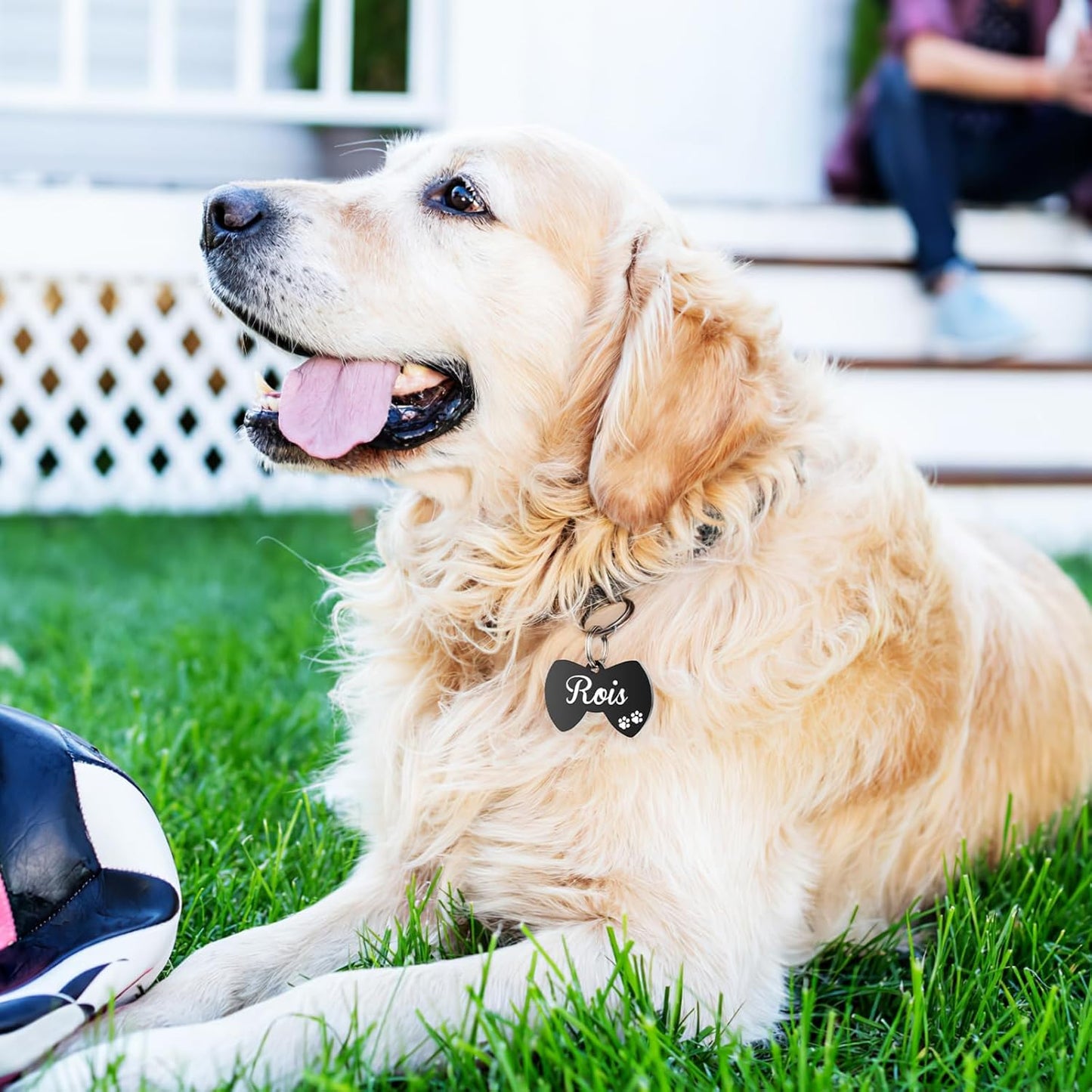 Dog Tags Engraved for Pets - YEHANTI Personalized Dog Tags with Lovely Icons, Durable Stainless Steel Pet ID Tags for Small Large Dogs Cats, Custom Dog Name Tags Engraved on Both Sides (Bow Tie)