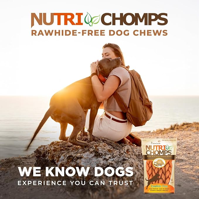 NutriChomps Dog Chews, 6-inch Braids, Easy to Digest, Rawhide-Free Dog Treats, Healthy, 4 Count, Real Peanut Butter Flavor