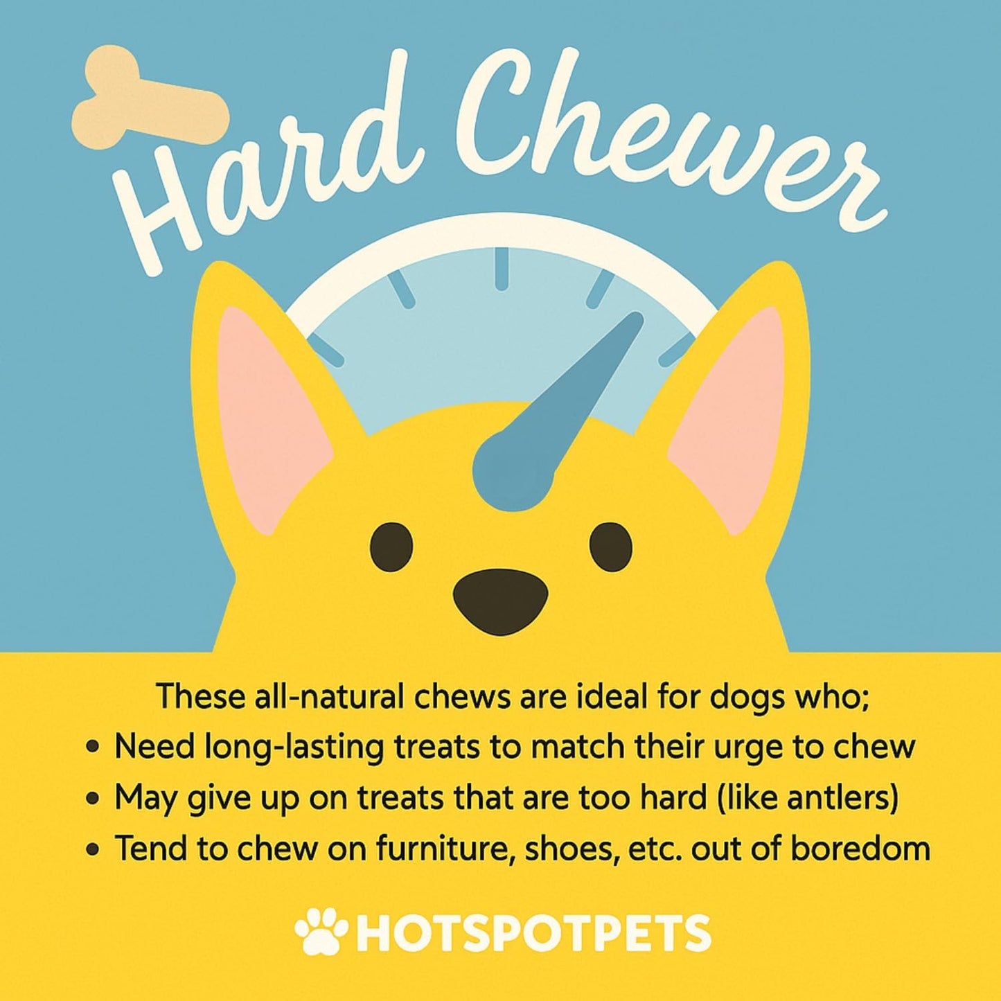 hotspot pets Braided Bully Sticks for Dogs -(12 Inch -10 Pack) All Natural Long Lasting Twisted Beef Pizzle Dog Chew Treats - Grain Free Fully Digestible Rawhide Alternative - 12 Inch Stix