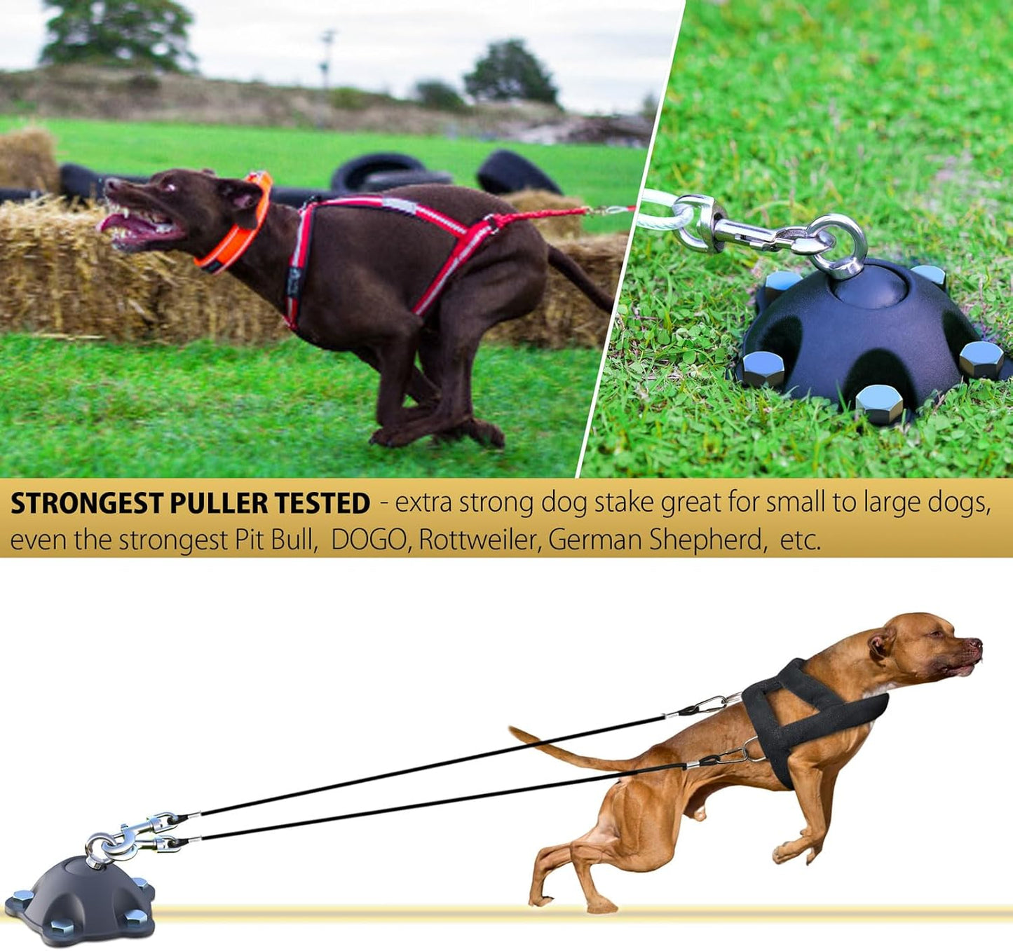 Patented 360° Swivel Dog Tie Out Stake Dog Anchor for Small to Large Dogs Up to 150lbs - Dog Yard Leash Stake with 5 Strong Tether Holds 1000lbs of Pull Force (Stake Without Cable)