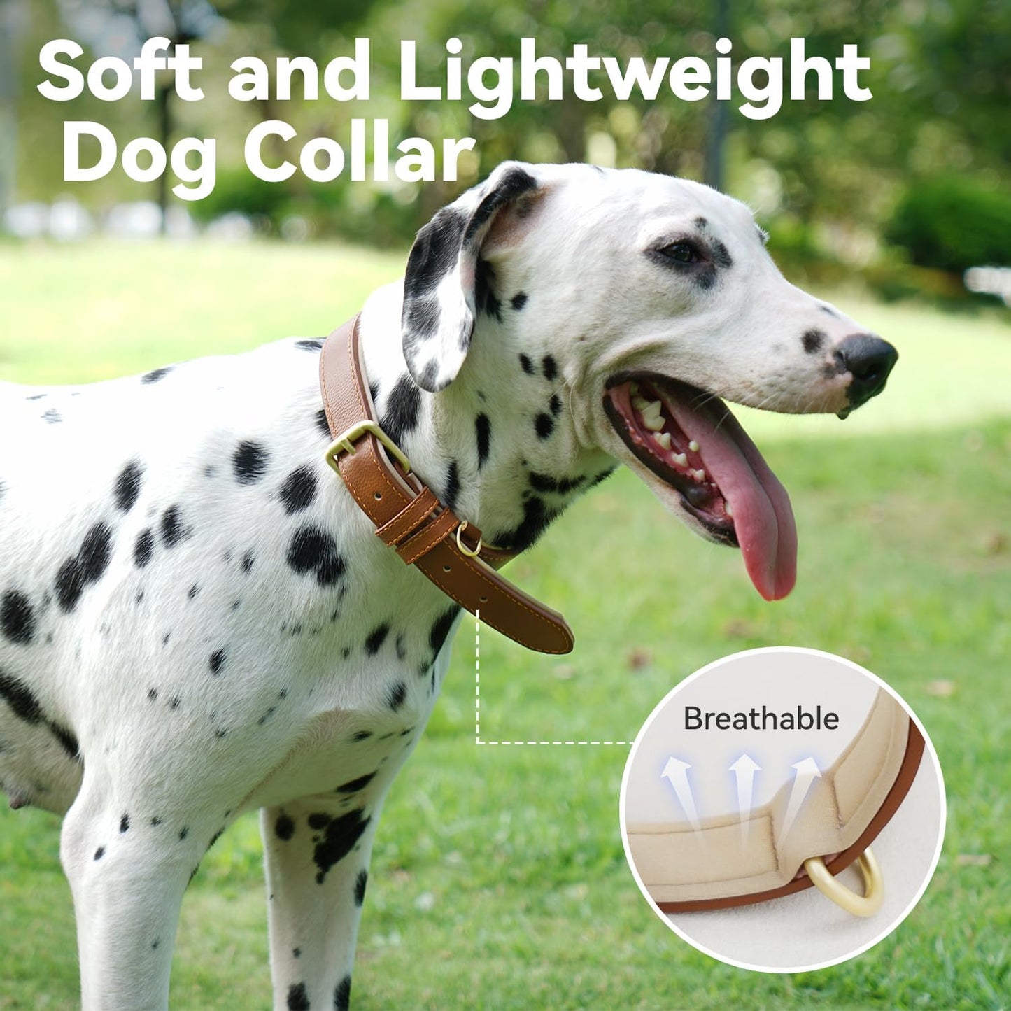 Dog Collar Soft Padded Heavy Duty Strong Collars Comfortable Basic Pet Collar with Adjustable Rust-Proof Metal Buckle Best Gift for Small Medium Large,Brown,S