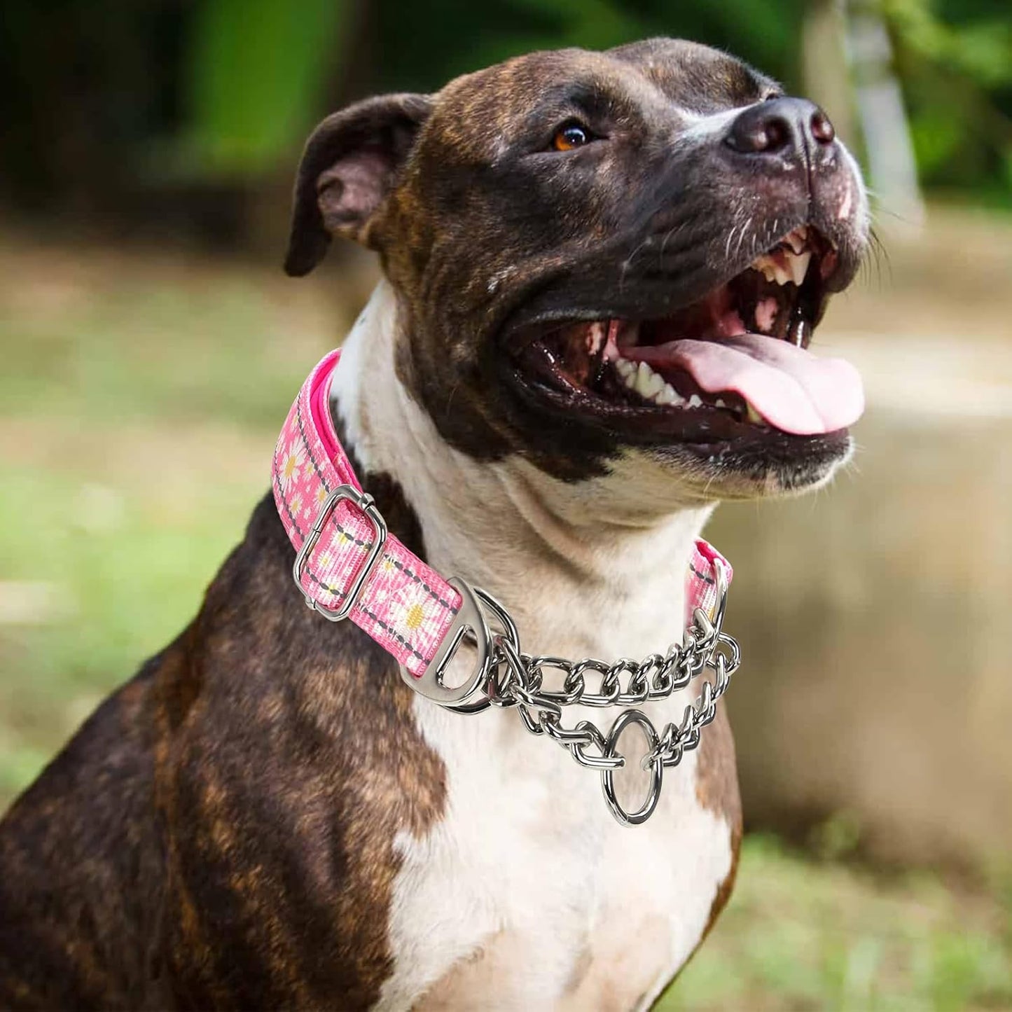 Martingale Collar for Dogs with Pink Daisy,Reflective Nylon Adjustable No Pull Dog Training Chain Collar Training, Walking, Hunting for All Breeds(Pink Daisy XL)