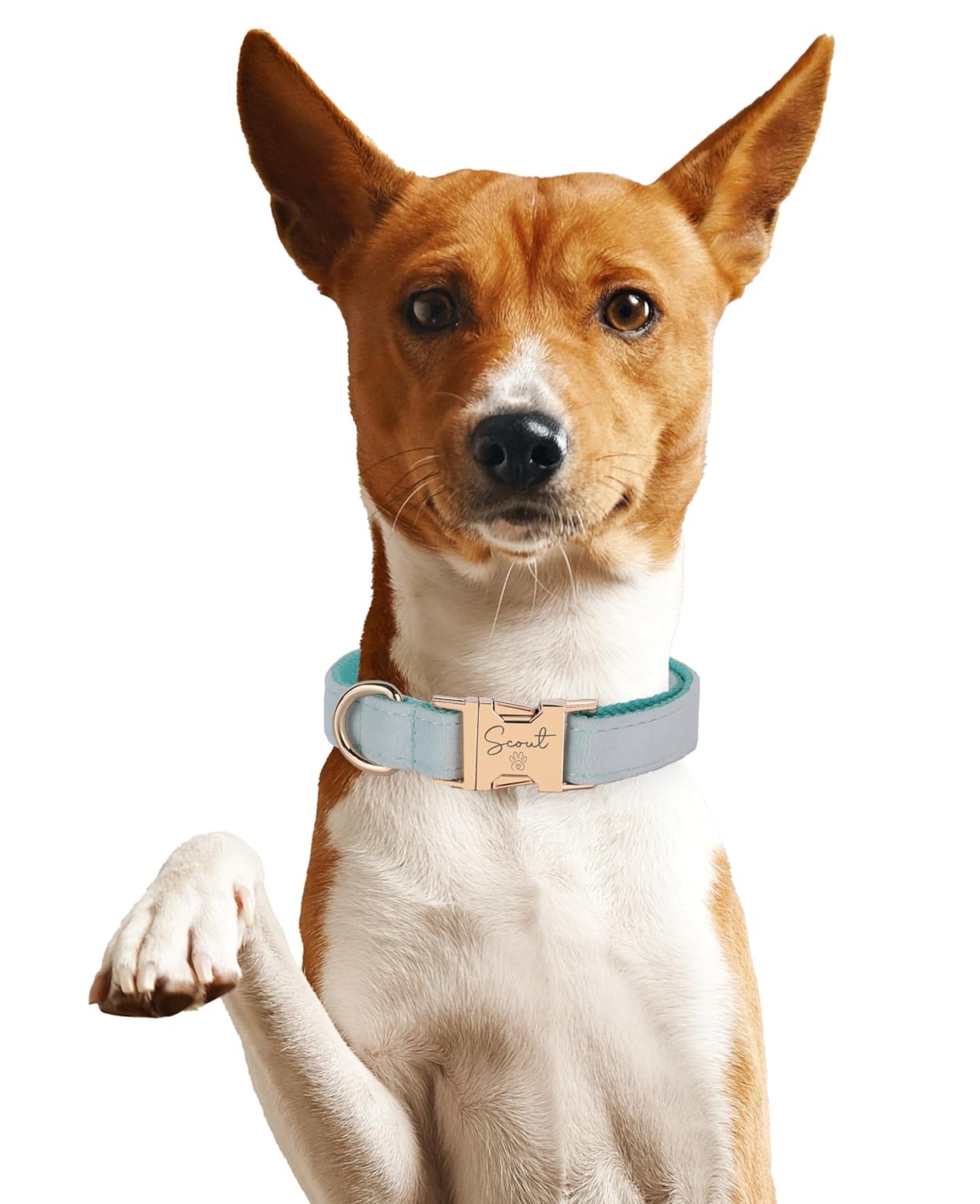 Custom Name Dog Collar, Engraved Personalized Dog Collar with Name on it and Phone Number, Quick Release Gold Metal Buckle, Poop Bag, Harness, Leash Available, Red, Black, Emerald, Pink, Luxury Soft Comfy Velvet Collar (Small)