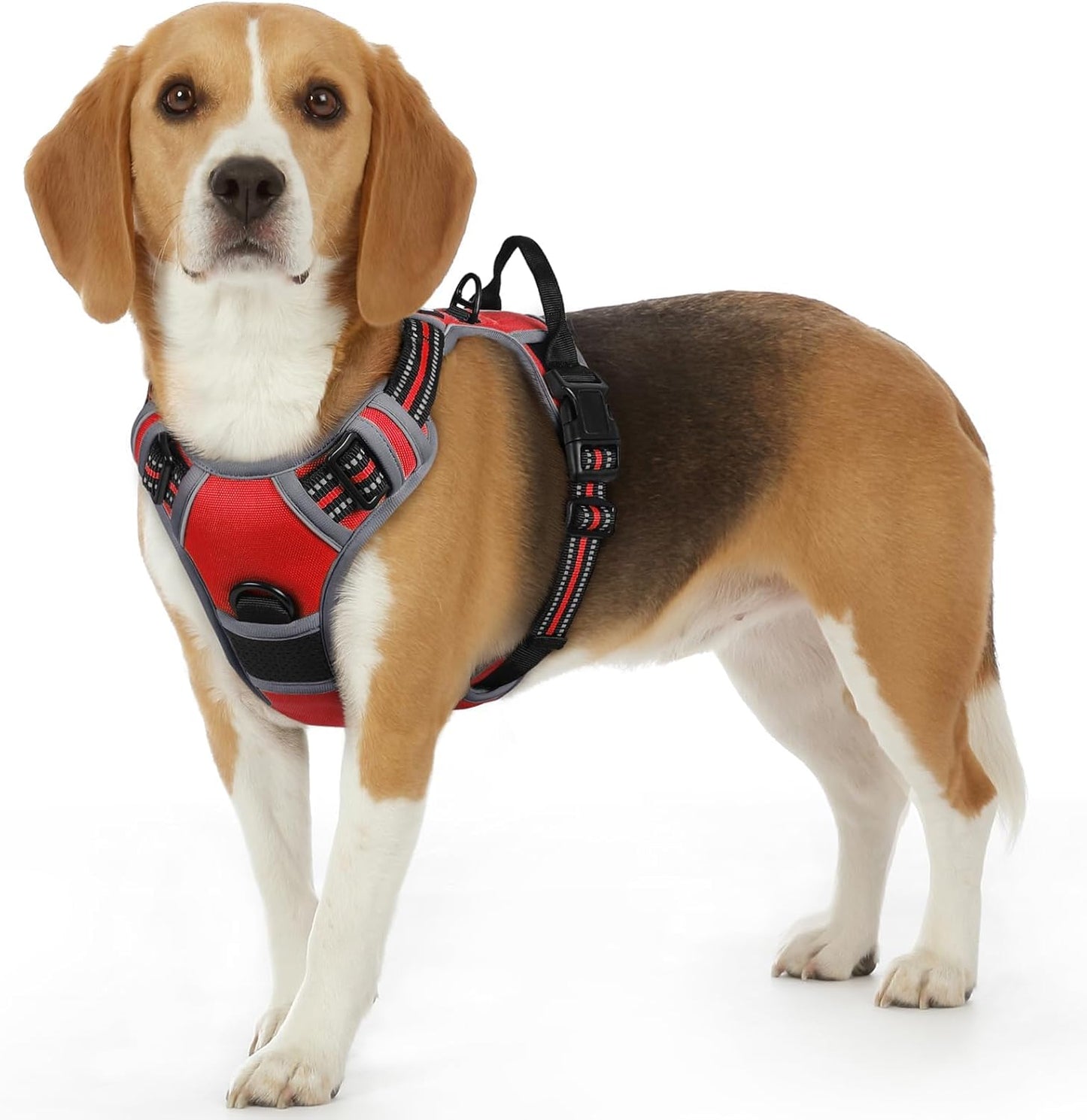 Eagloo Dog Harness for Small Dogs, No Pull Adjustable Service Vest with Control Handle，Red, S