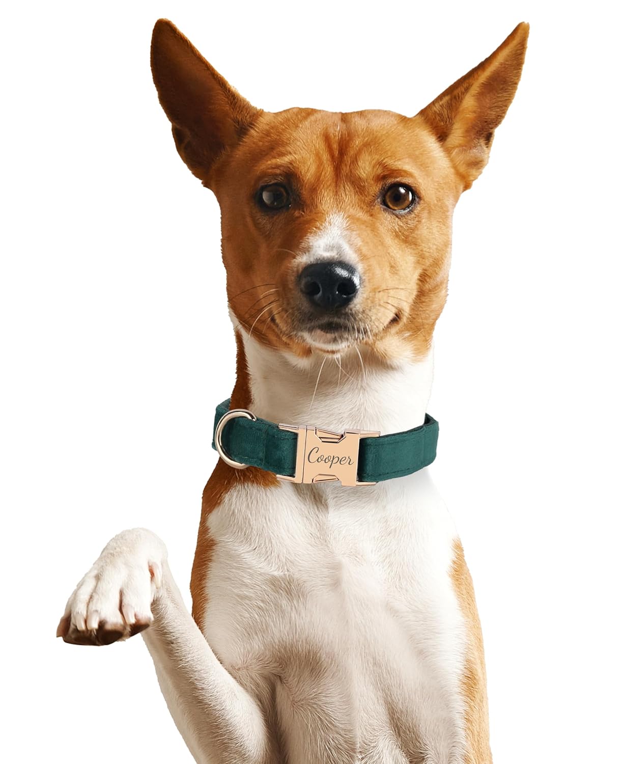 Custom Name Dog Collar, Engraved Personalized Dog Collar with Name on it and Phone Number, Quick Release Gold Metal Buckle, Poop Bag, Harness, Leash Available, Red, Black, Emerald, Pink, Luxury Soft Comfy Velvet Collar (X-Large)