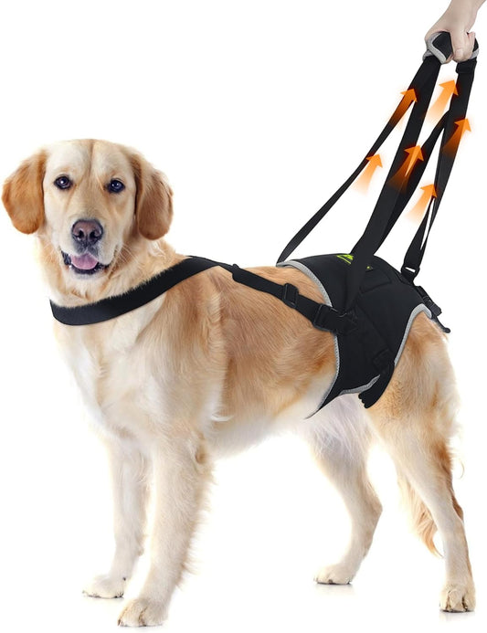 Dog Lift Harness for Extra Large Dogs, Dog Harness with Handle for Lifting, Dog Back Leg Support Harness for Weak Hind Legs to Prevent Dogs from Falling, Breathable and Comfortable, Easy to Wear- XL