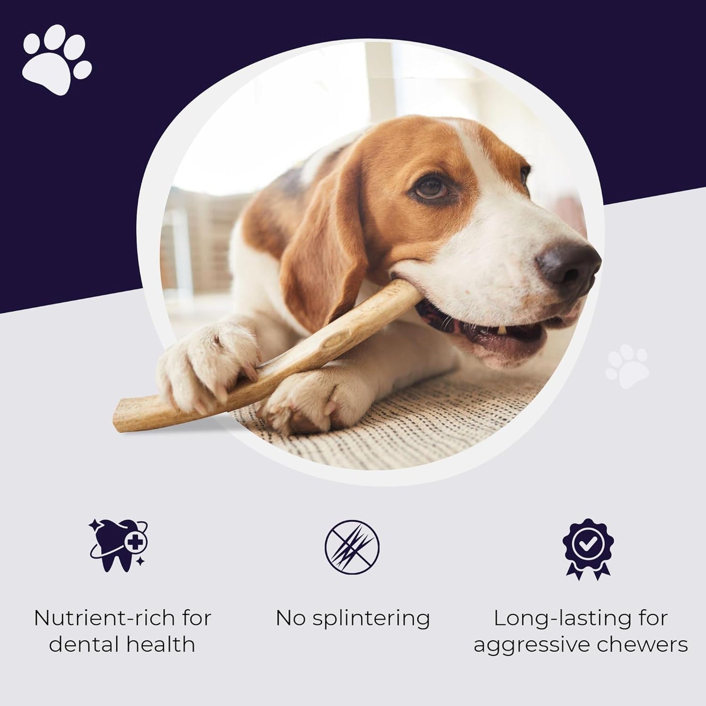 Devil Dog Pet Co. Elk Antlers for Dogs, Extra Large 7"+, 1 Pack, Grade A Long Lasting Chew for Aggressive Chewers, Premium USA Naturally Shed Antler – Healthy, No Odor, Durable Dog Chew