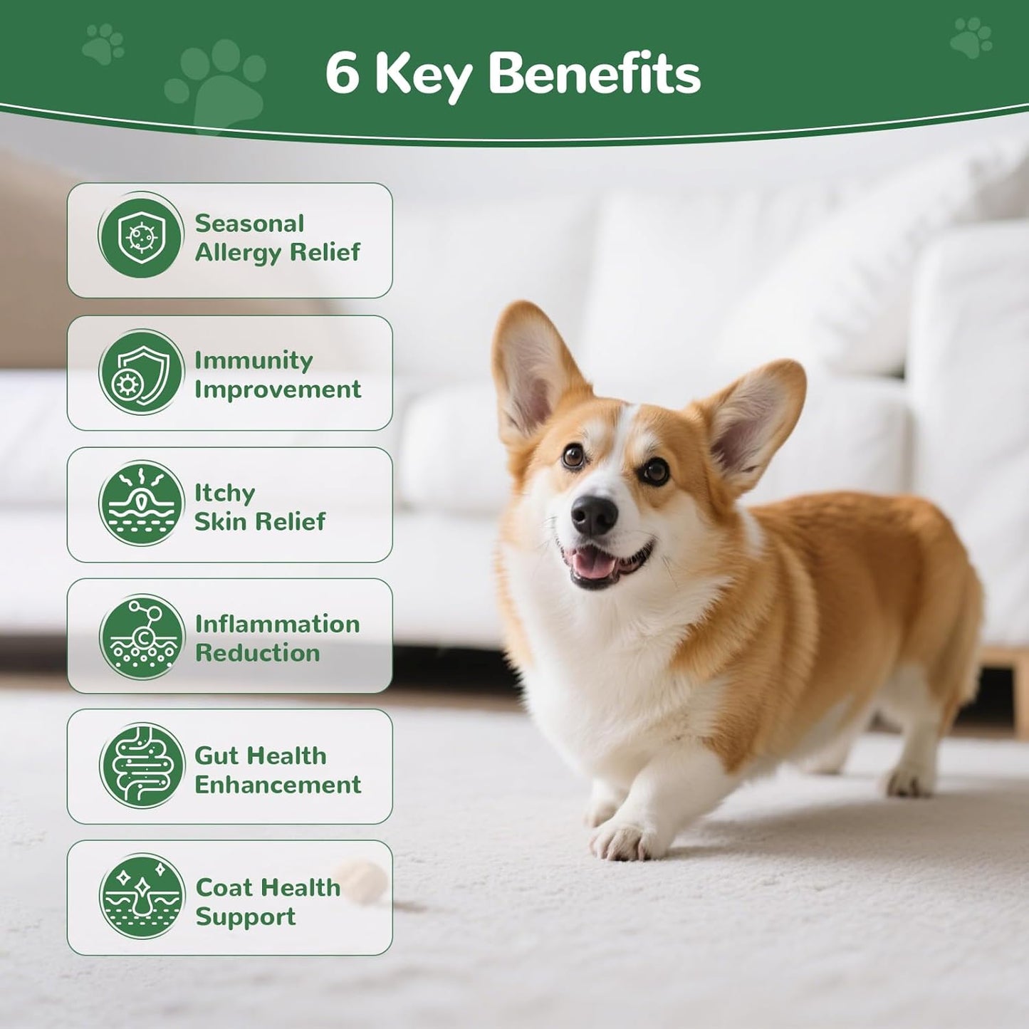 Allergy Chews, 200PCS Dog Itching Skin Relief with Probiotics Omega 3, Allergy Relief for Dogs Itching Licking Paws, Support Seasonal Allergy, Gut & Digestive Health and Immune System