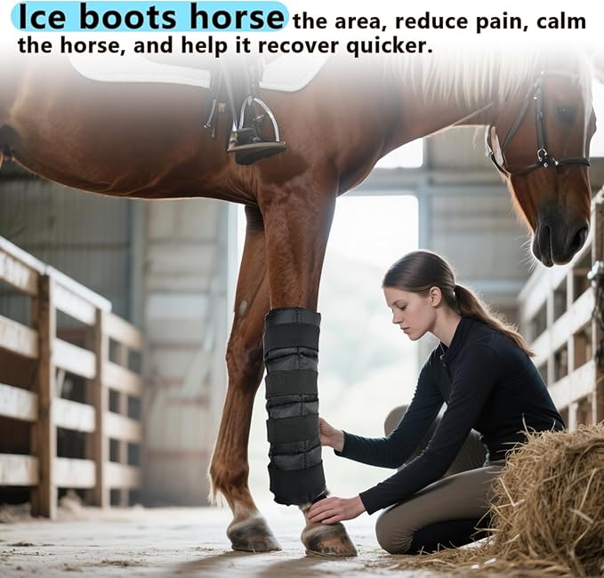 WORLD-BIO Horse Ice Boots (2pcs)/Horse Ice Pack for Injuries/Swelling, Horse Leg Ice Wraps with Flexible Straps for Horse Hock, Ankle, Knee, Legs&Horse Hooves,& Horse Gift Ideas for Horse Lovers-Black