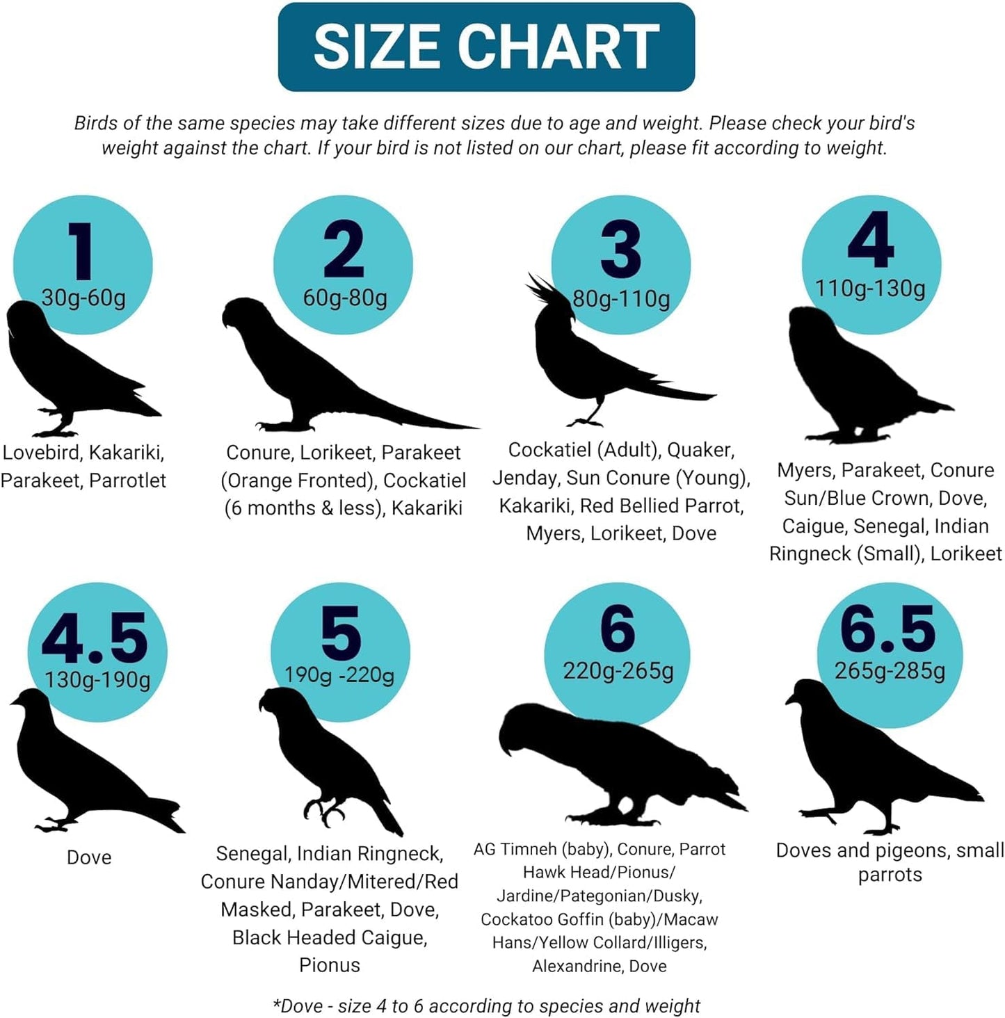 Bev's Birds Boutique - Regular Flyper, Pirate Size 8