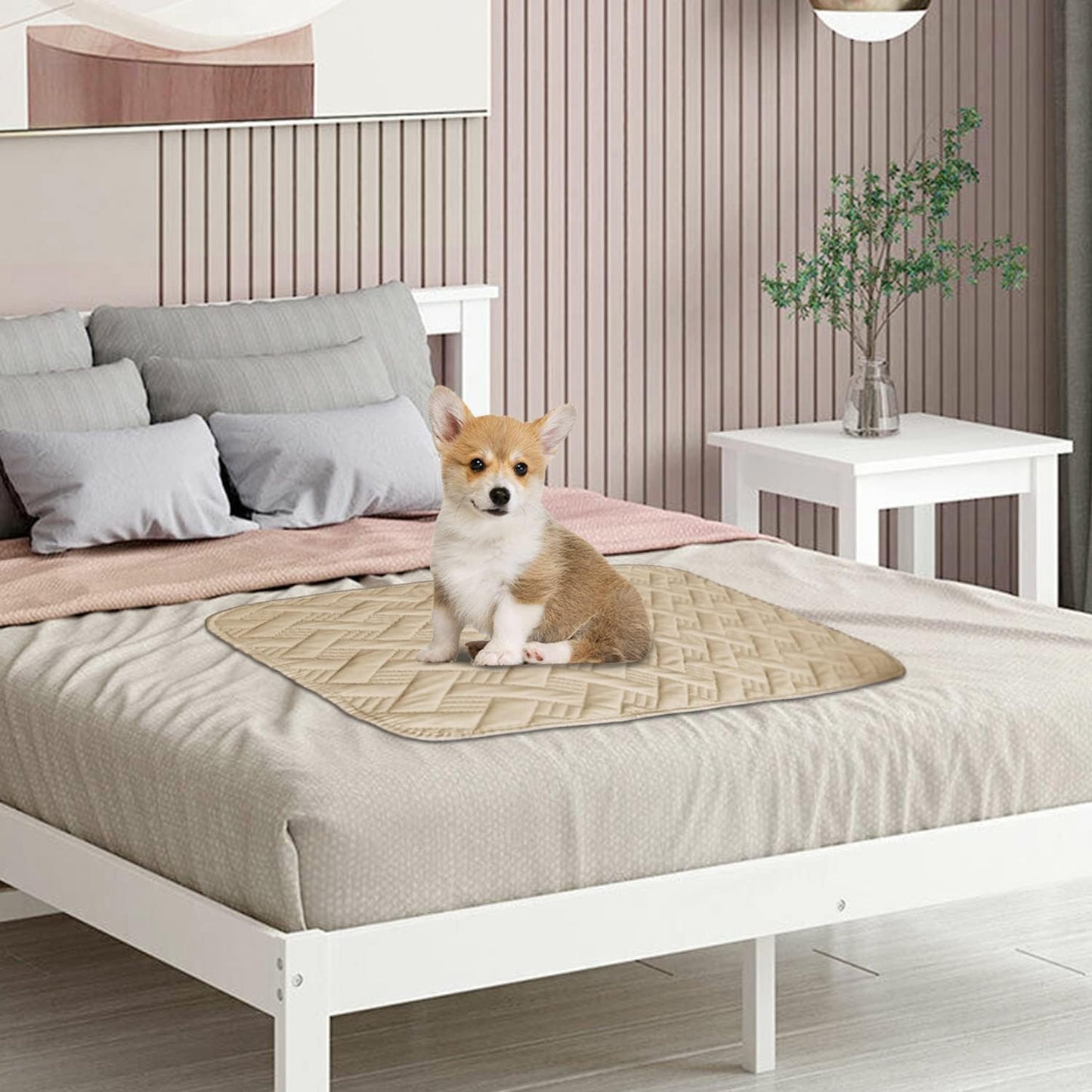 Dog Bed Cover for Pets - Blankets Rug Pads for Couch Protection Waterproof Bed Covers Dog Blanket Furniture Protector Reusable Changing Pad (Ivory+Beige, 20"x30")