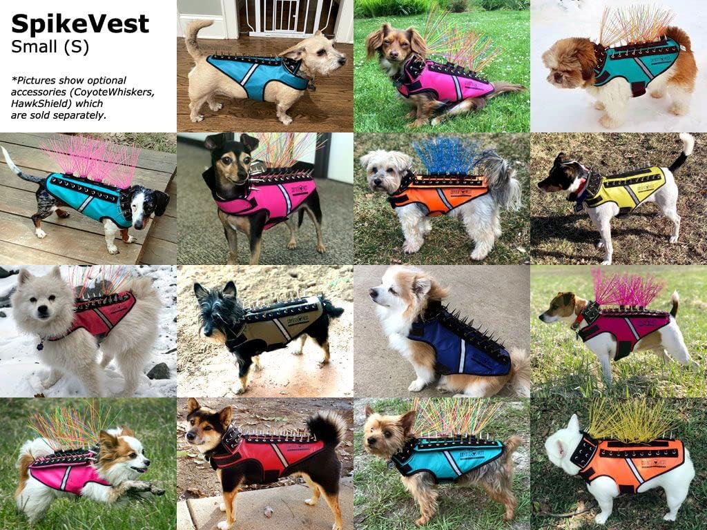 CoyoteVest SpikeVest Dog Harness Vest for Small Dogs, Reflective Dog Vest with Spikes to Shield Your pet from Coyotes, Raptor and Animal Attacks, Anti Hawk Vest, Made in USA (S-Yellow)