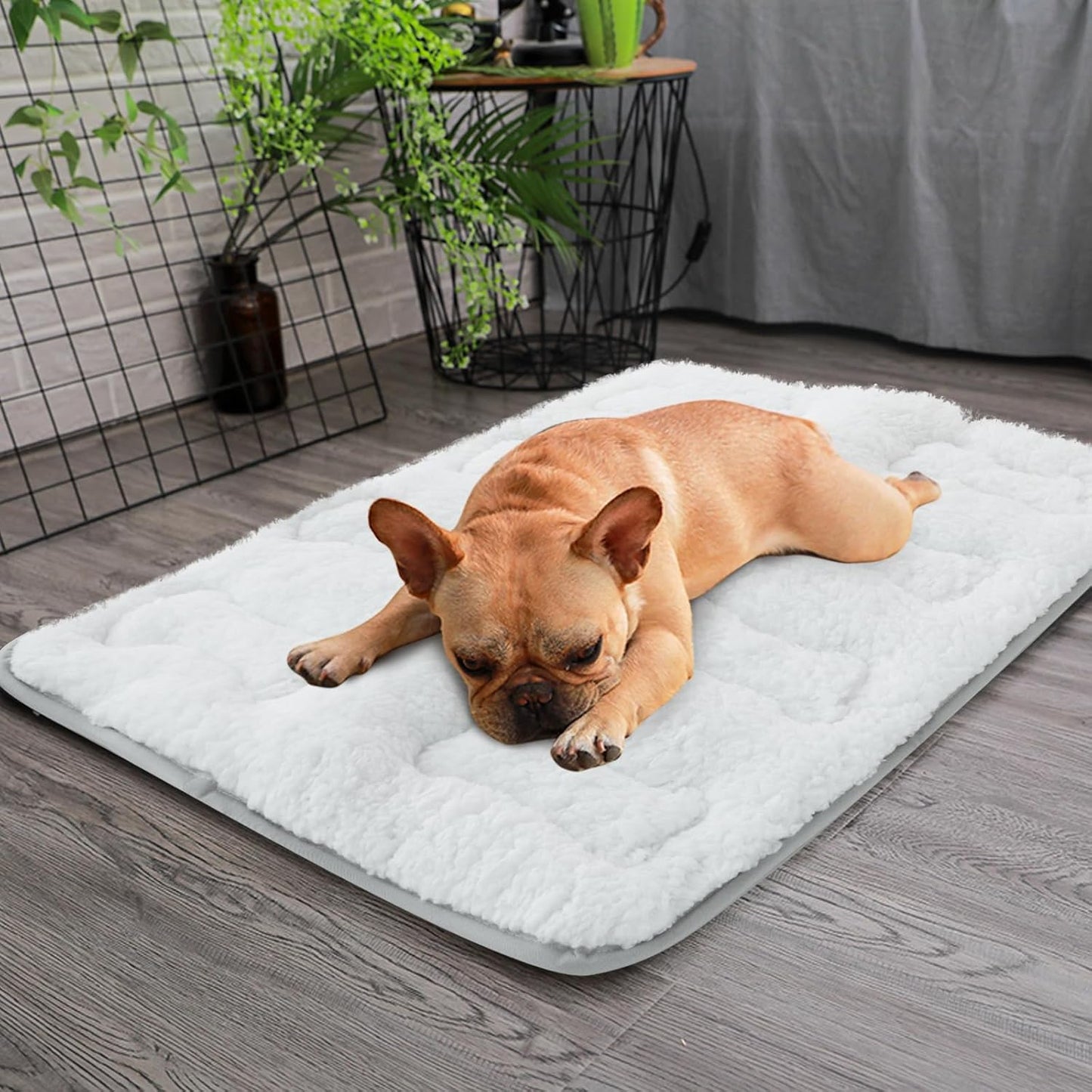 Dog Crate Mat(24" X 18"), Small Dog Bed for Crate, Soft Plush Dog Bed Pad Machine Washable Crate Pad, Dog Sleeping Mat with Anti Slip Bottom