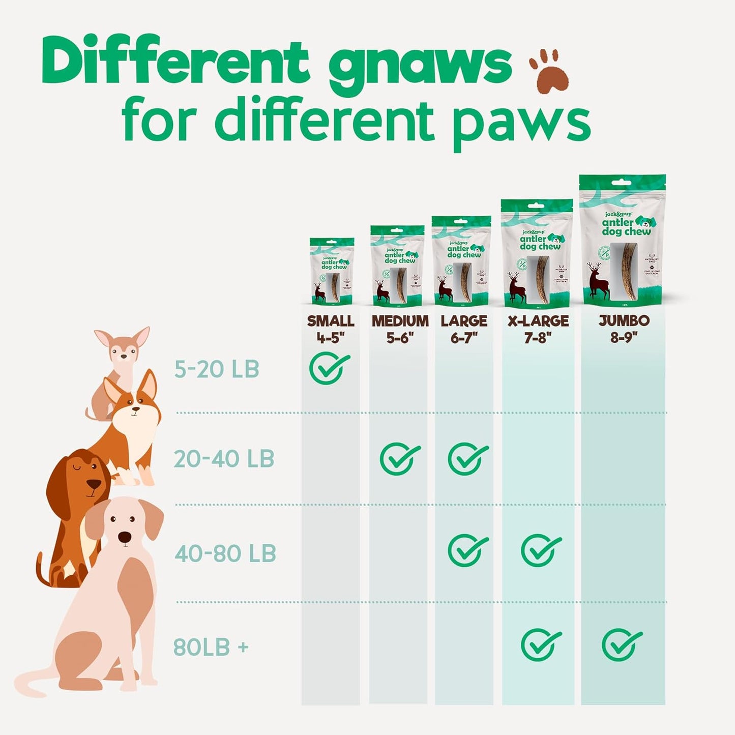 Jack&Pup Whole Elk Antlers for Dogs Large | Naturally Shed Rawhide Free Dog Chews Long Lasting Elk Horns for Dogs | Dog Antlers for Aggressive Chewers (1 Small Antler)